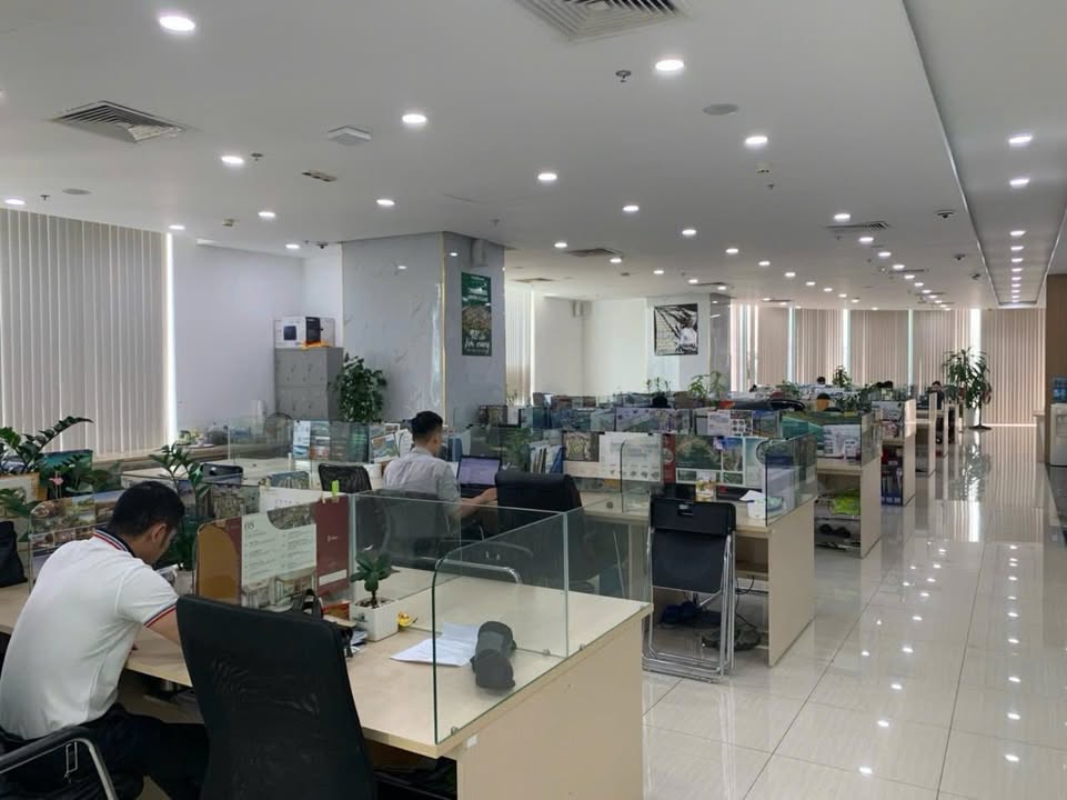 Văn phòng Ecolife Tố Hữu 250m² giá 70 triệu - Setup đầy đủ, vào làm việc ngay!