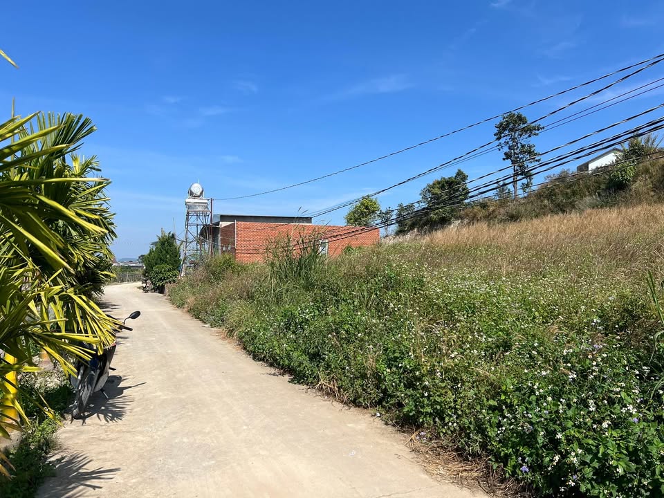 Đất nền tại Tân Hội, Đức Trọng 175m² giá chỉ 500 triệu - Cơ hội đầu tư sinh lời!