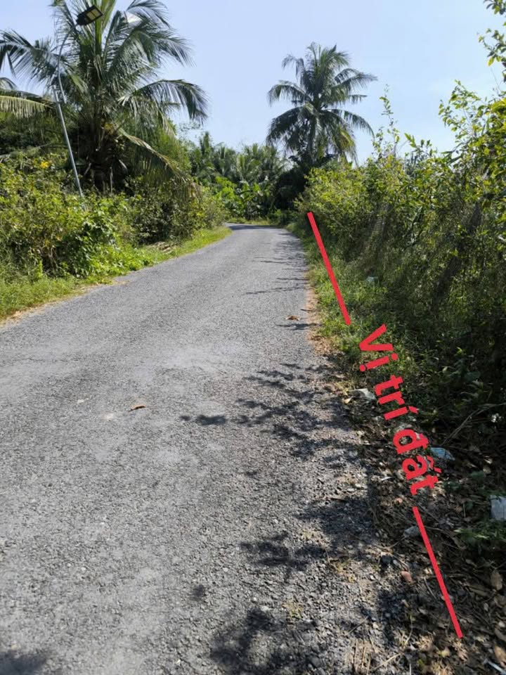 Đất nông nghiệp 3500m² xã Ngãi Tứ, Vĩnh Long giá chỉ 2.45 tỷ - Thích hợp nghỉ dưỡng!