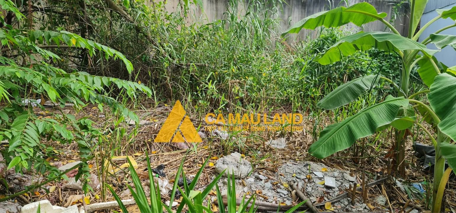 Đất thổ cư Phường 7, Cà Mau 60,6m² giá 810 triệu - Sổ đỏ đầy đủ, hỗ trợ trả góp!