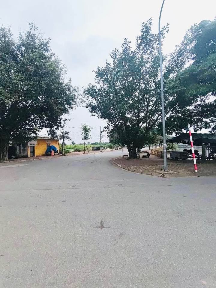 Đất nền thôn Cổ Giang, Lệ Chi, Gia Lâm 103m² giá 2.x tỷ - Phù hợp xây biệt thự vườn!