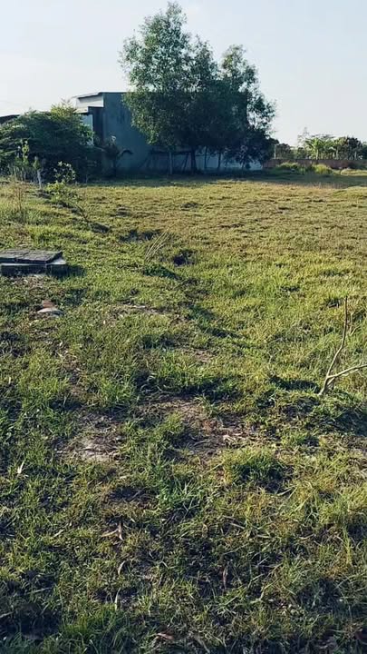 Đất thổ cư Mỹ Hạnh, Đức Hòa 100m² giá 950 triệu - Đầu tư sinh lời ngay!