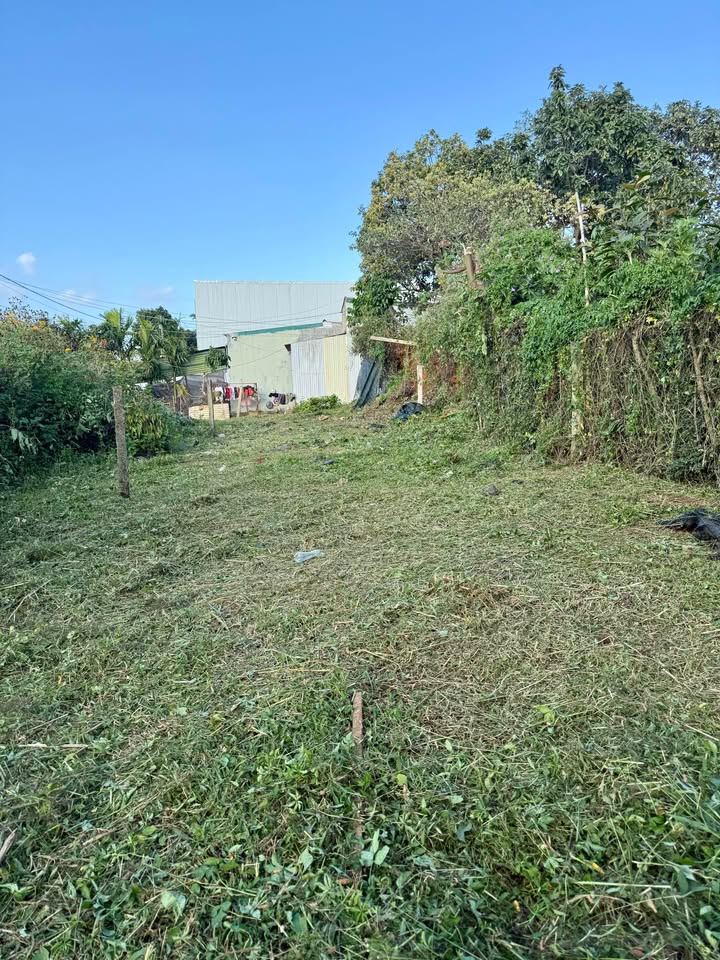 Đất nền đẹp Đắk Mil 149.85m² giá 960 triệu - Đầu tư sinh lời ngay!