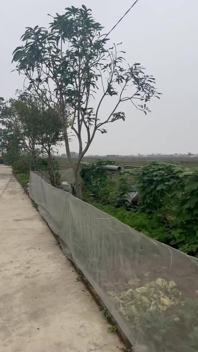 Đất nền Diễn Trường 200m² - Hướng Đông thoáng mát, thỏa thuận giá!