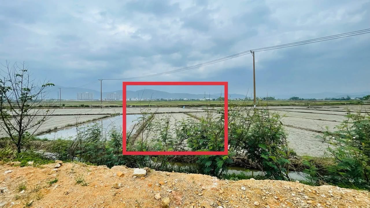 Đất nền Nhơn Bình, Quy Nhơn 720m² giá chỉ 199 triệu - Cơ hội đầu tư hấp dẫn!