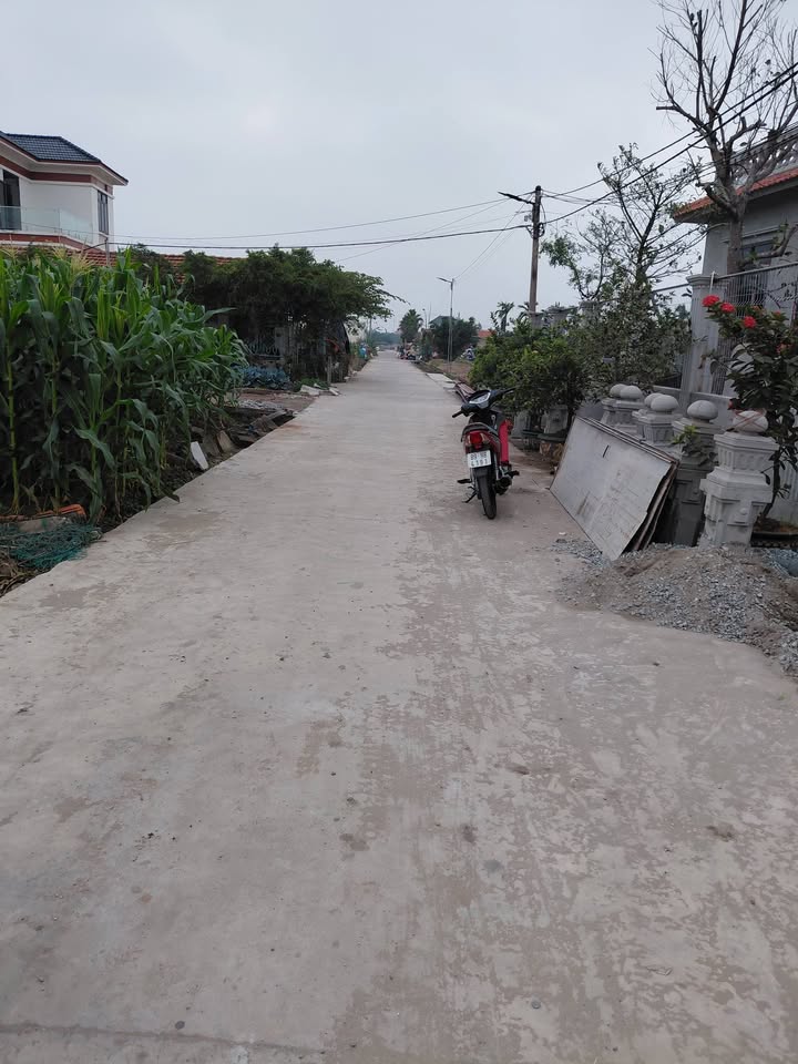 Đất liền kề khu 16 Thịnh Long, Hải Thịnh, 495m² - Chính chủ bán giá thỏa thuận!