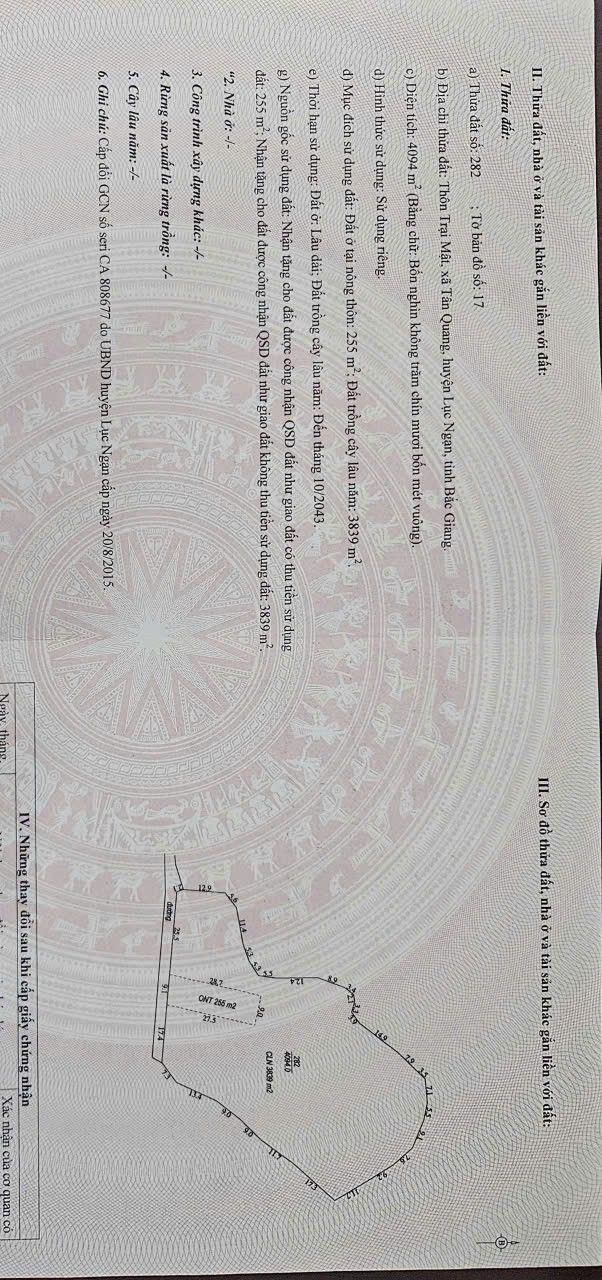 Mảnh vườn đẹp tại thôn Trại Mật, xã Tân Quang, 4.100m² - Đầu tư sinh lời hấp dẫn!