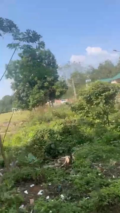 Đất thổ cư Thanh Đình Việt Trì 105m² giá 1 tỷ - Kinh doanh phát triển!