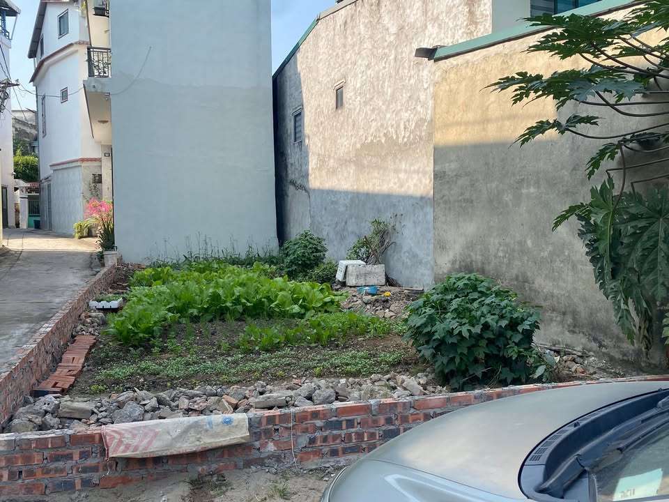 Đất Nông Trang, Việt Trì 70m² giá 3 tỷ - Mặt tiền rộng, kinh doanh tốt!