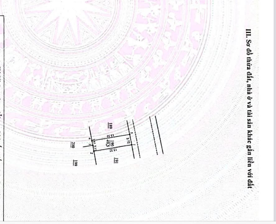 Đất dịch vụ An Thượng Hoài Đức 49,5m² giá 8,415 tỷ - Vị trí vàng, đầu tư sinh lời!