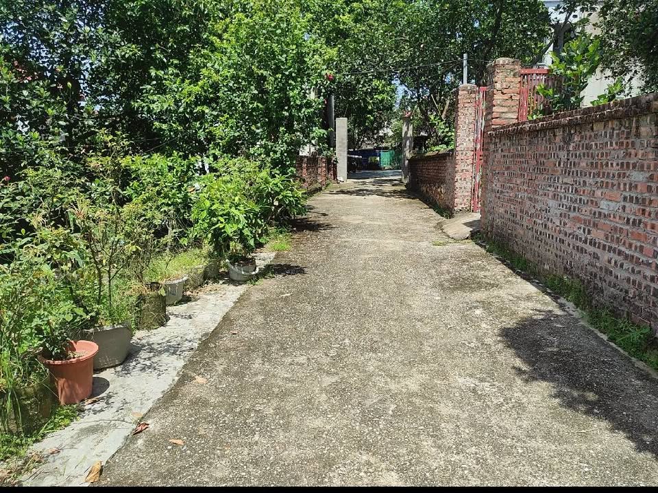 Đất nền Phật Tích, Tiên Du 71m² giá 1.44 tỷ - Vị trí đẹp, giao thông thuận tiện!