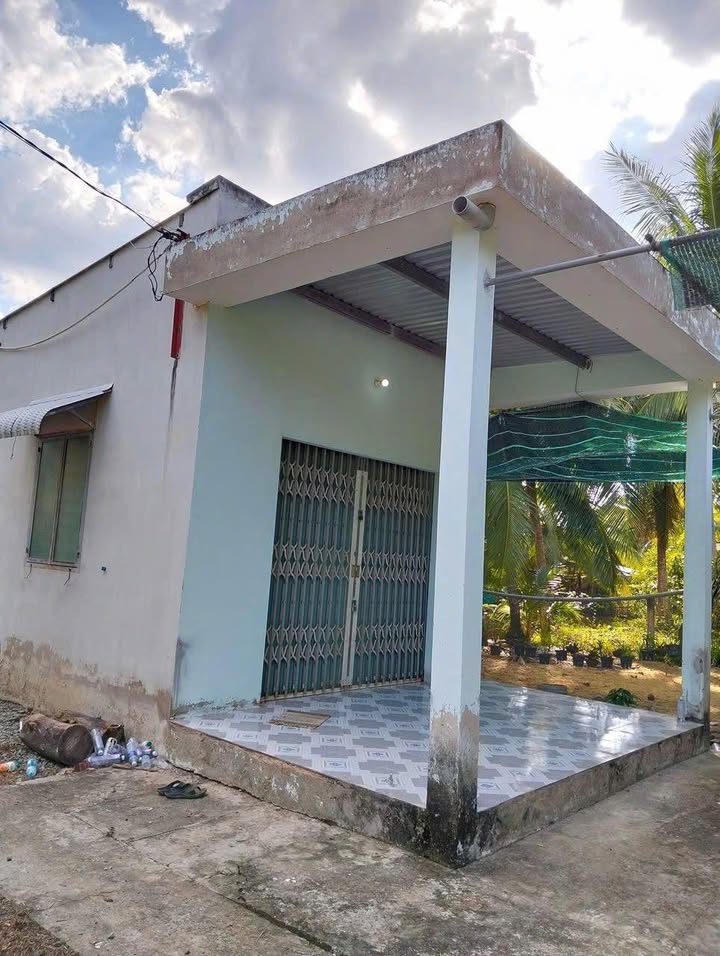 Đất nền Lương Hòa Giồng Trôm 1980m² giá 1.2 tỷ - Sẵn sàng chuyển nhượng!