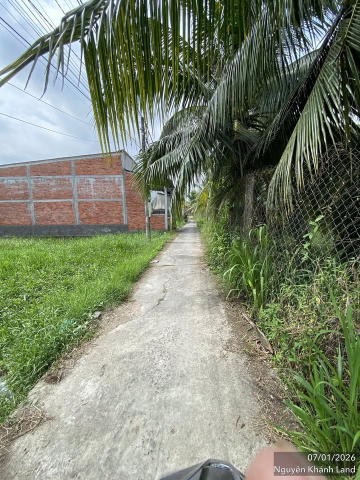 Đất nền Phú Hưng Bến Tre 385m² giá 850 triệu - Cơ hội đầu tư tuyệt vời!