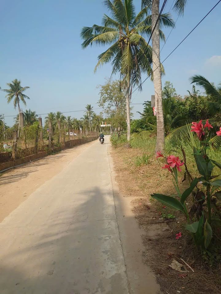 Đất vườn dừa Lương Hòa, Bến Tre 2000m² giá 1.4 tỷ - Đầu tư sinh lời hấp dẫn!