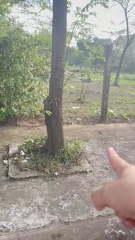 Đất nền mặt tiền Nguyễn Thượng Hiền Đông Hà 100m² giá 1.168 tỷ - Đầu tư sinh lời ngay!