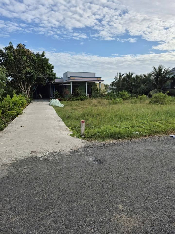 Đất mặt tiền ấp Gò Lức, Tân Đông 1235m² giá chỉ 300 triệu - Cơ hội đầu tư hấp dẫn!