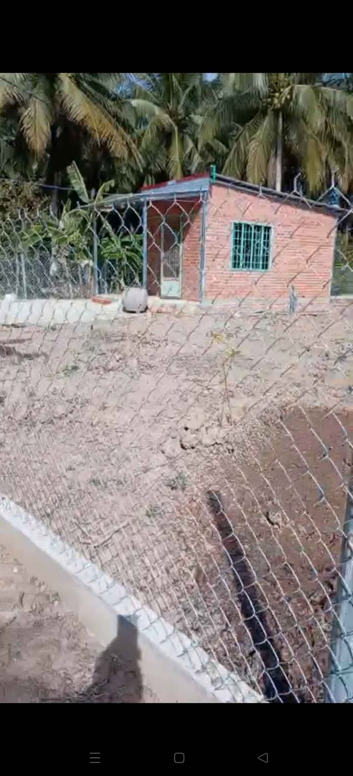 Đất vườn 1500m² tại Phú Tân, Bến Tre - Giá chỉ 1.4 tỷ, tặng nhà nhỏ!