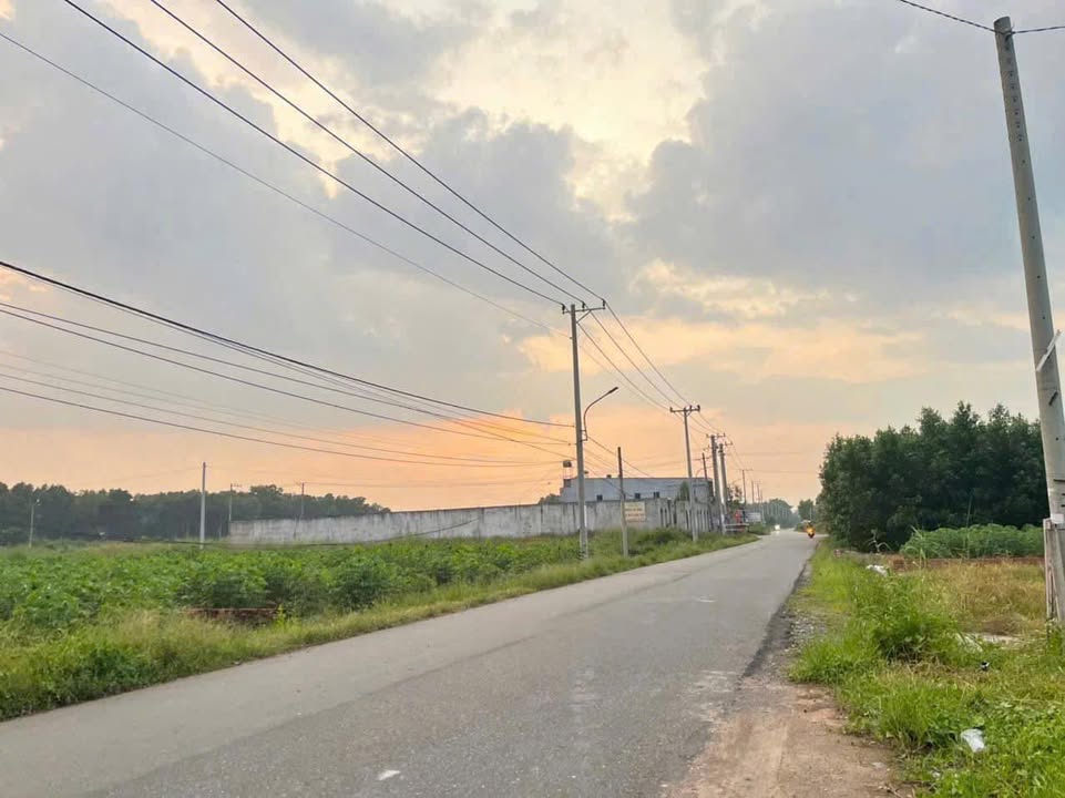 Đất thổ cư 125m² tại Mỹ Xuân - Tóc Tiên giá 1.6 tỷ - Đầu tư sinh lời tốt!