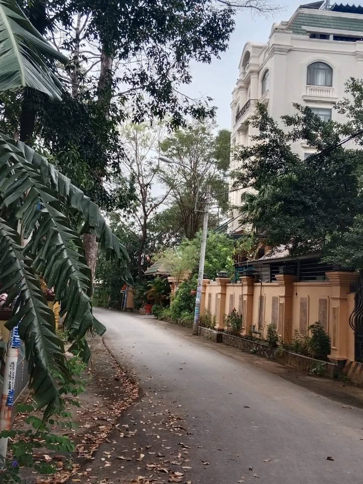 Đất mặt tiền đường Nhựa Củ Chi 289.3m² giá 5.8 tỷ - Thích hợp xây biệt thự nghỉ dưỡng!