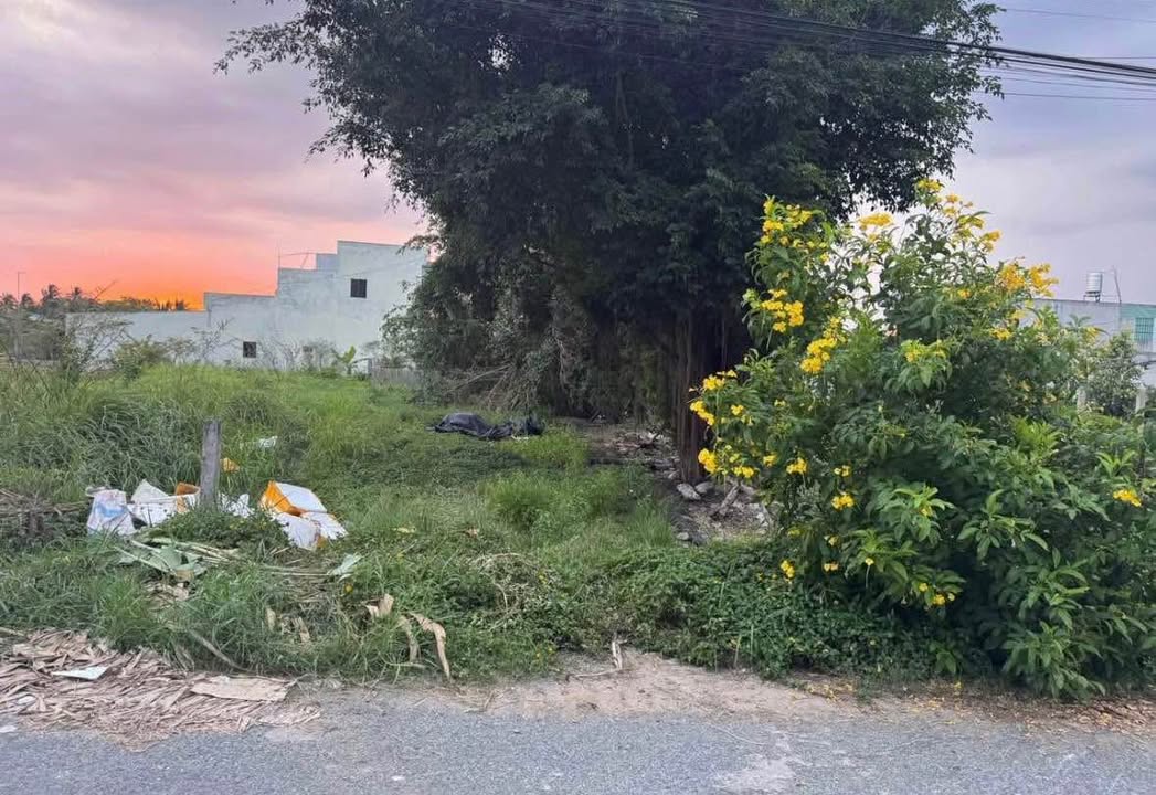 Đất thổ cư mặt tiền Nguyễn Quang Đại, Tân An, Long An - 219m² chỉ 2.75 tỷ, thương lượng!