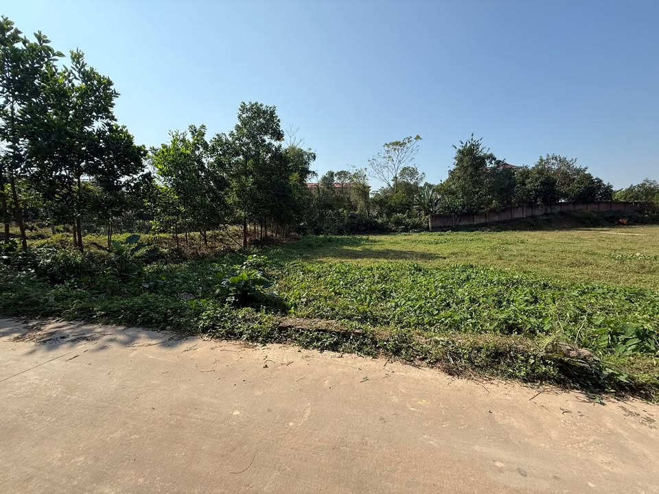 Đất Đô Lương, Trung Giã, Sóc Sơn 800m² - Pháp lý rõ ràng, thuận tiện đầu tư!