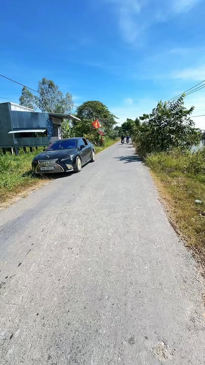 Đất nền Phú Hiệp, Tam Nông 10.000m² giá 2.5 tỷ - Cơ hội đầu tư tuyệt vời!