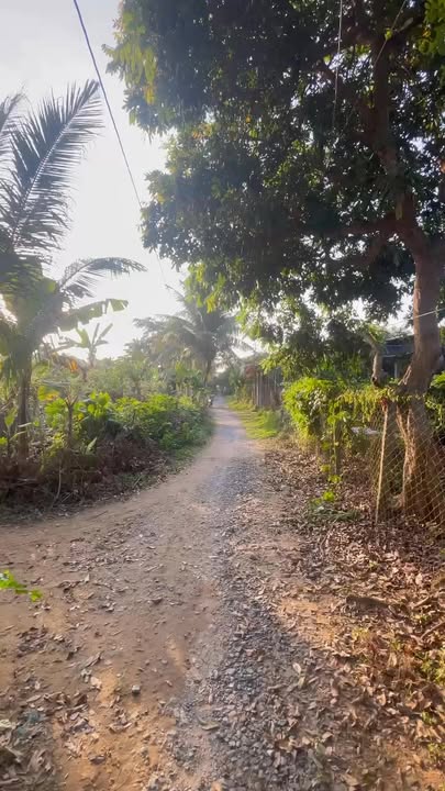 Đất nền gần sân vận động Nhị Quý - 90m² chỉ 320 triệu, cơ hội đầu tư hấp dẫn!