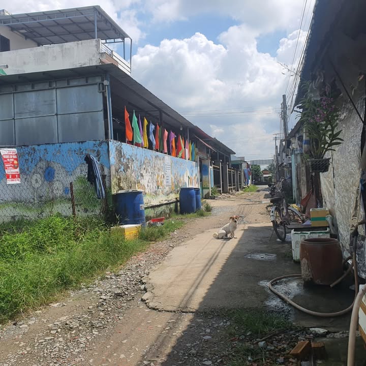 Đất nền Gò Dầu 374m² giá chỉ 400 triệu - Cơ hội đầu tư tuyệt vời!