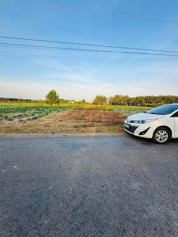 Đất ở Suối Dộp, Châu Thành, Tây Ninh 1056m² giá chỉ 550 triệu - Cơ hội đầu tư hấp dẫn!