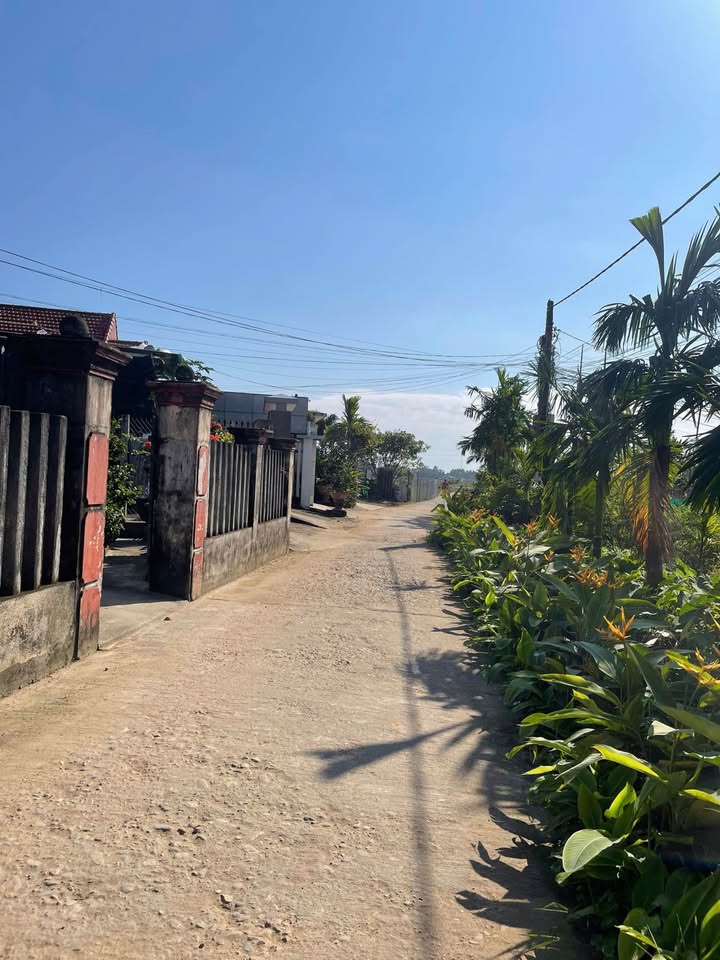 Đất nền Nghĩa Thương, Tư Nghĩa 100m² - Đường ô tô thông thoáng, giá chỉ 5xx triệu!