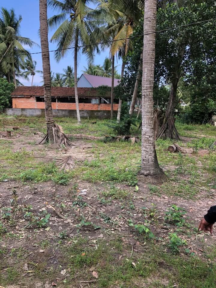 Đất nền Tam Quan, Hoài Nhơn 411m² giá chỉ 600 triệu - Cơ hội đầu tư tuyệt vời!