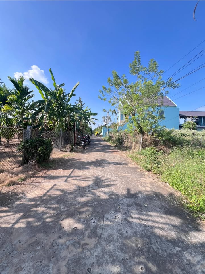 Đất nền Xuân Định, Xuân Lộc 120m² giá 750 triệu - Cơ hội đầu tư hiếm có!