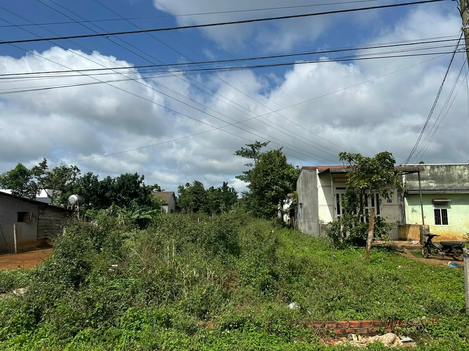 Đất nền phường Tân An – TP. Buôn Ma Thuột 250m² giá 1.7 tỷ - Cơ hội đầu tư tuyệt vời!