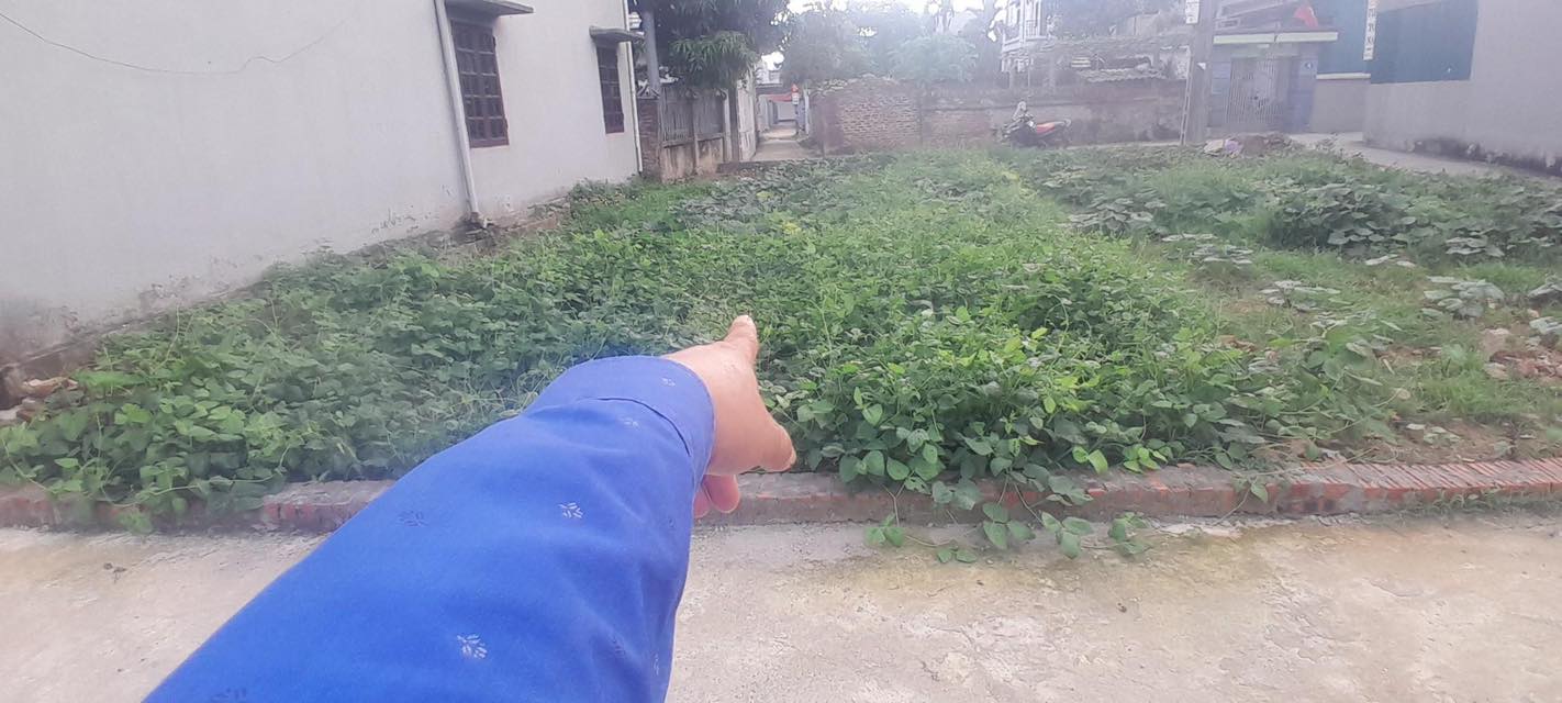 Đất nền Quang Tiến, Sóc Sơn 109m² giá 3 tỷ - Cơ hội đầu tư hiếm có!