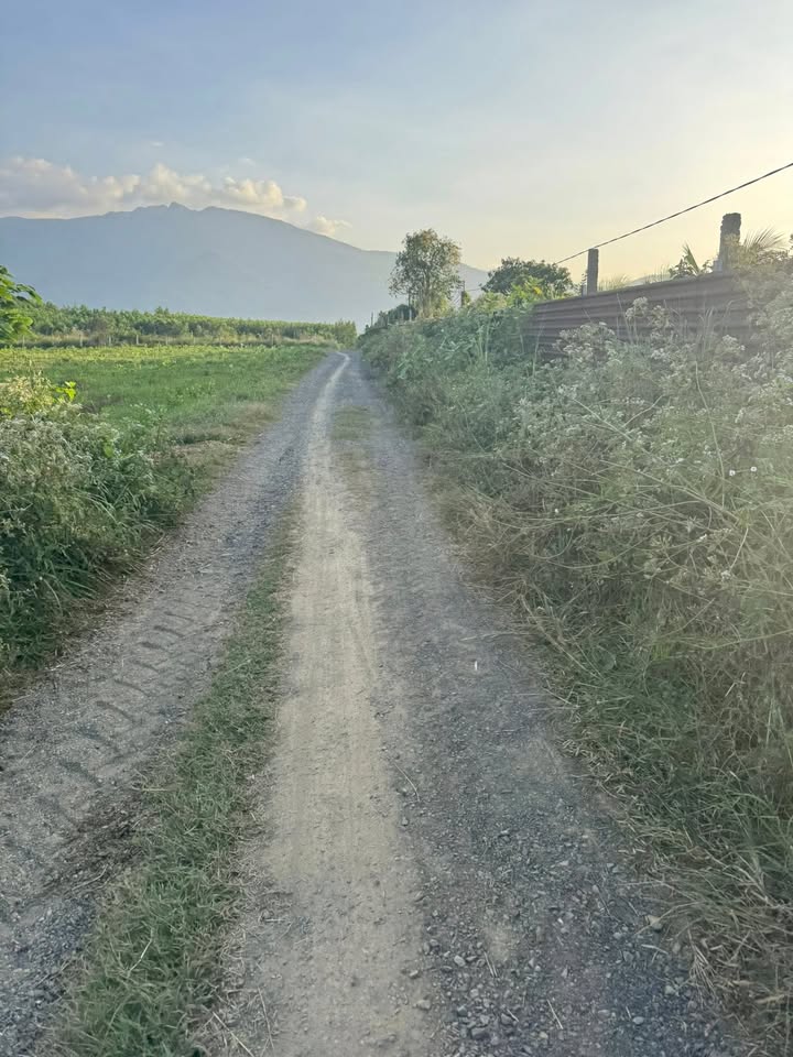 Đất nông nghiệp Ninh Tân 17.334,8m² giá 11 tỷ - Tiềm năng sinh lời cao!