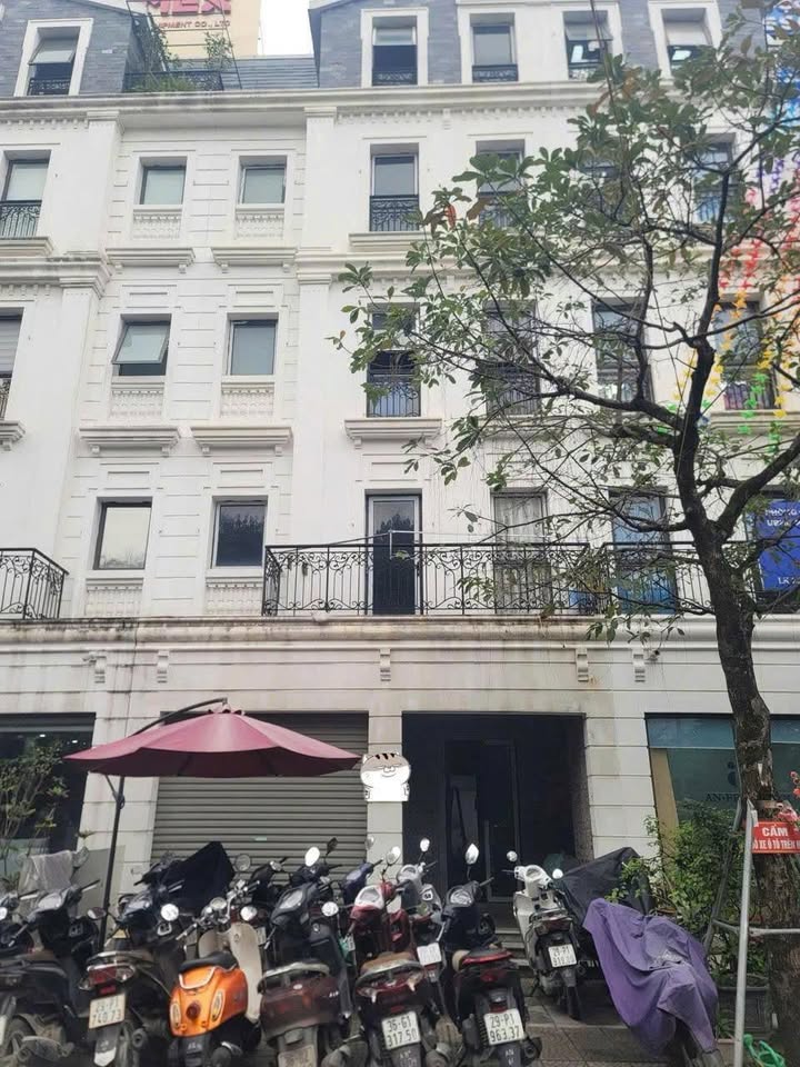 Cho thuê nhà mặt phố Khu Đô Thị Belleville B4 Nam Trung Yên 100m² giá 75 triệu - Thiết kế theo yêu cầu!