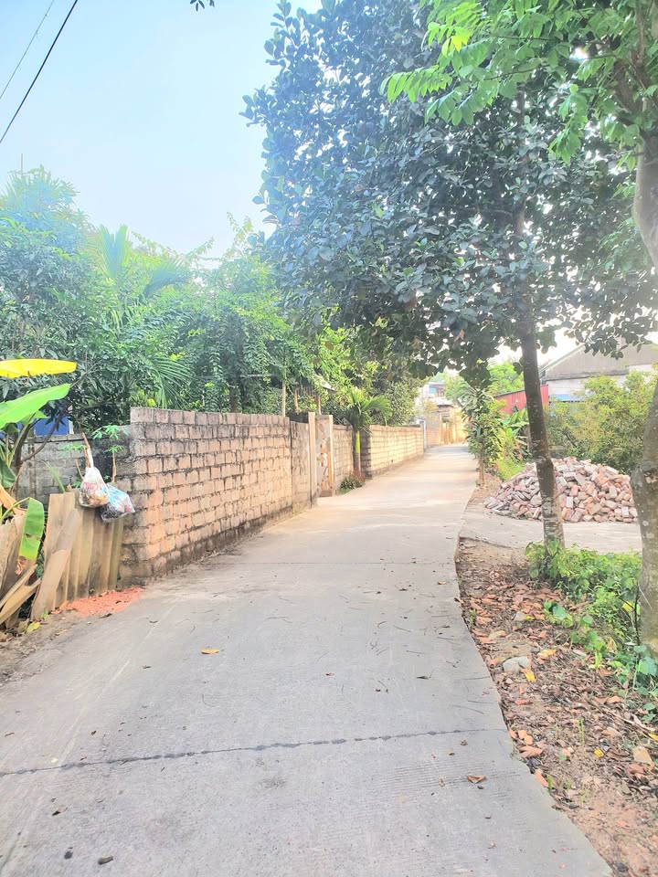 Đất vườn tạp phường Cao Ngạn 172m² giá 220 triệu - Đầu tư sinh lời ngay!