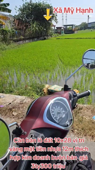 Đất nền xã Mỹ Hạnh, Đức Hòa 280m² giá 3.3 tỷ - Vị trí vàng kinh doanh!