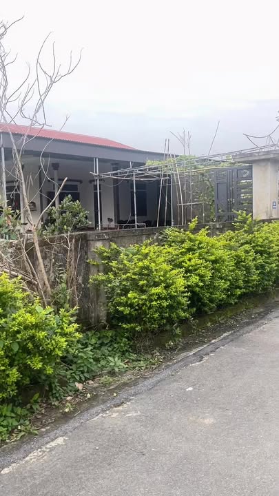 Đất thổ cư Thạch Hạ 217m² giá 1.9 tỷ - Mặt tiền rộng, vị trí đẹp!