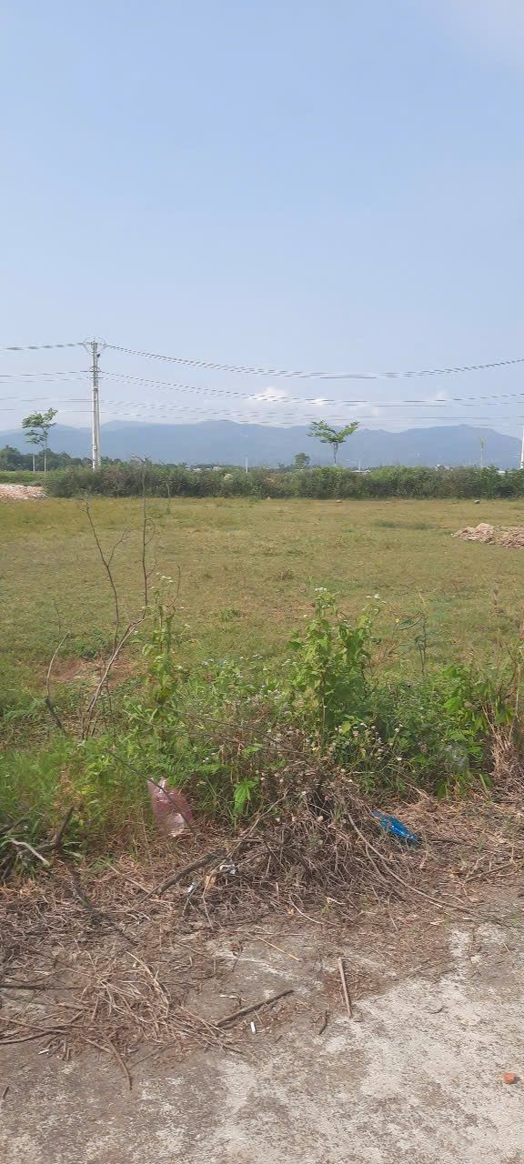 Lô đất 150m² tại Gò Bồi, Tuy Phước chỉ 1.45 tỷ - Cơ hội đầu tư tuyệt vời!