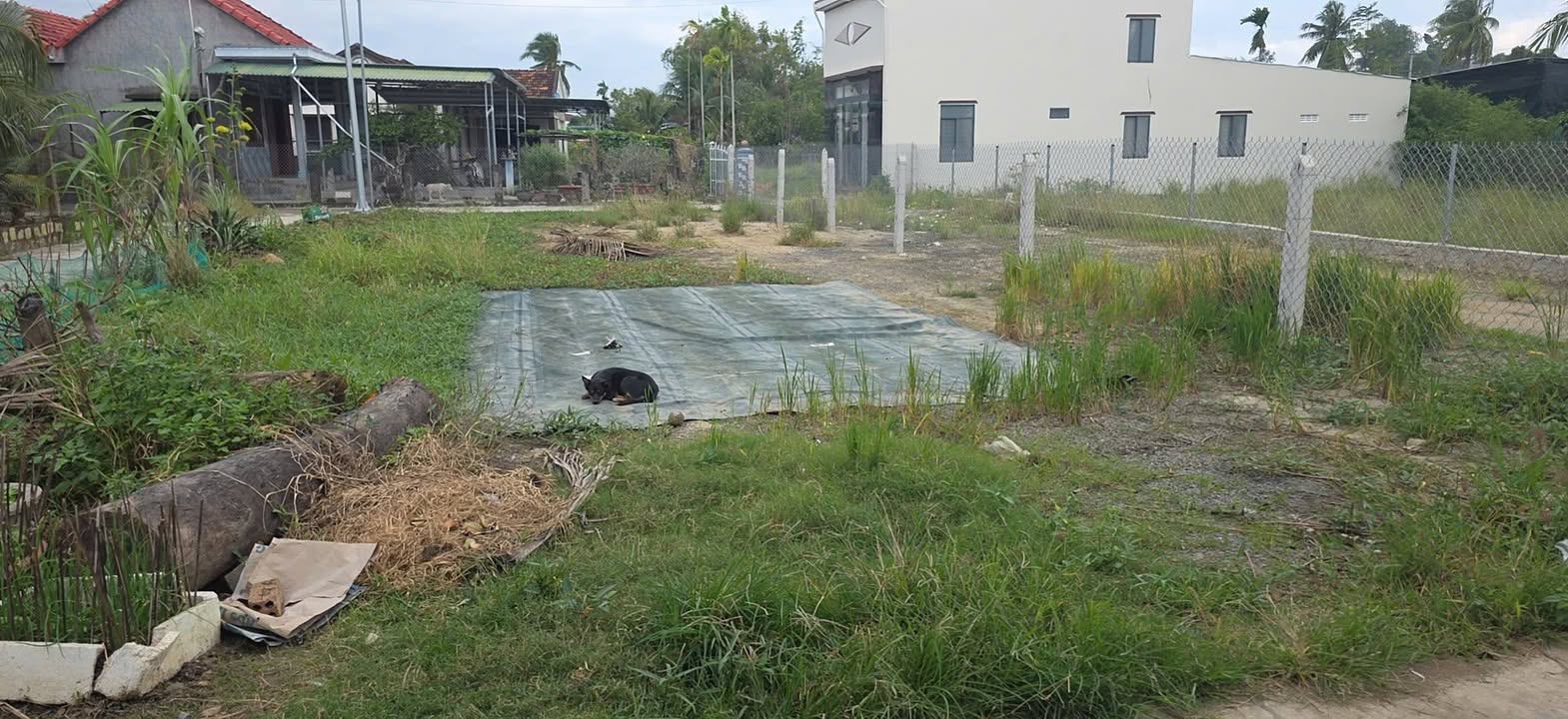 Đất nền Ninh Giang 201.7m² giá 1 tỷ - Sổ đỏ chính chủ, vị trí đắc địa!