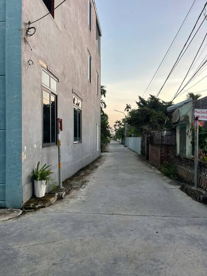 Đất nền Đồng Thái, An Dương 62.4m² giá 1.39 tỷ - Sổ đỏ chính chủ, vị trí đẹp!