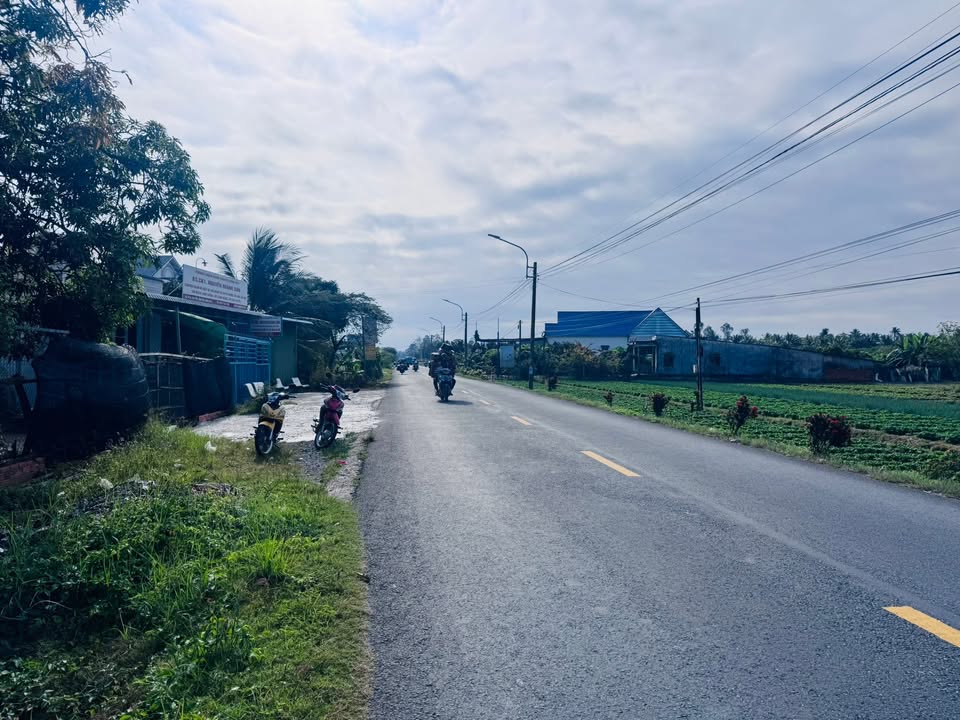 Đất nền mặt tiền QL 54, xã Tân Quới, Vĩnh Long 1800m² - Phù hợp kinh doanh