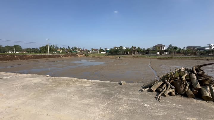 Đất nền Nghi Thịnh 174m² giá thỏa thuận - Nằm cạnh uỷ ban và trường học