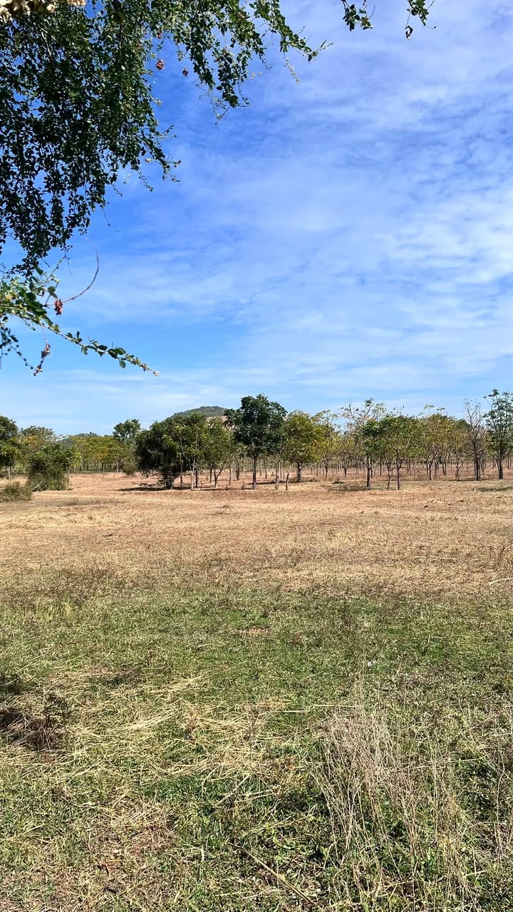 Đất nông nghiệp 1.076,7m² xã Hồng Liêm giá chỉ 300 triệu - Cơ hội đầu tư tuyệt vời!