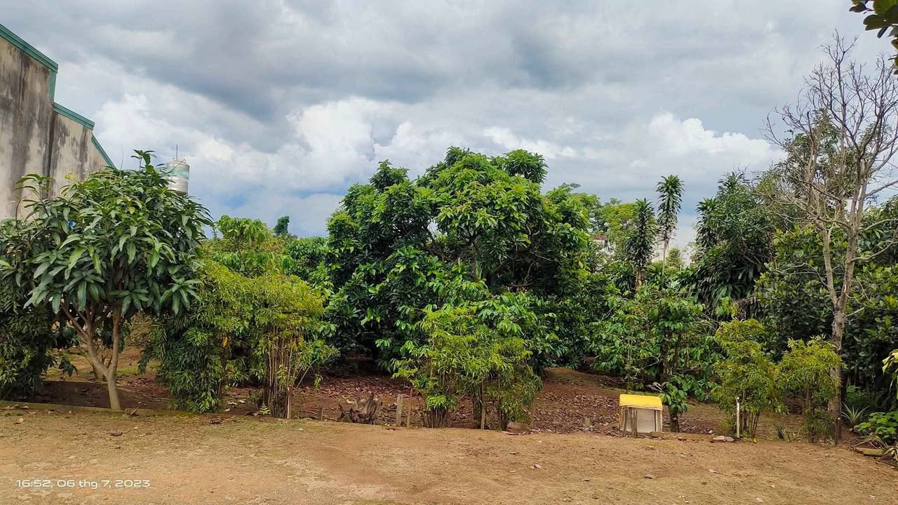 Đất nền mặt tiền Võ Văn Kiệt, Pleiku 800m² - Cơ hội đầu tư sinh lời!