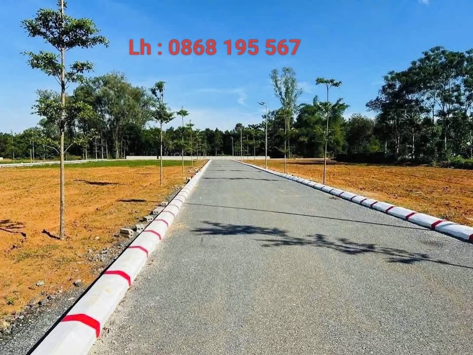 Đất thổ cư Thọ Cường, Triệu Sơn, 125m² giá 300 triệu - Tiềm năng sinh lời cao!