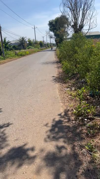 Đất thổ cư 524m² mặt tiền đường Tân Thành - Giá chỉ 1.35 tỷ!