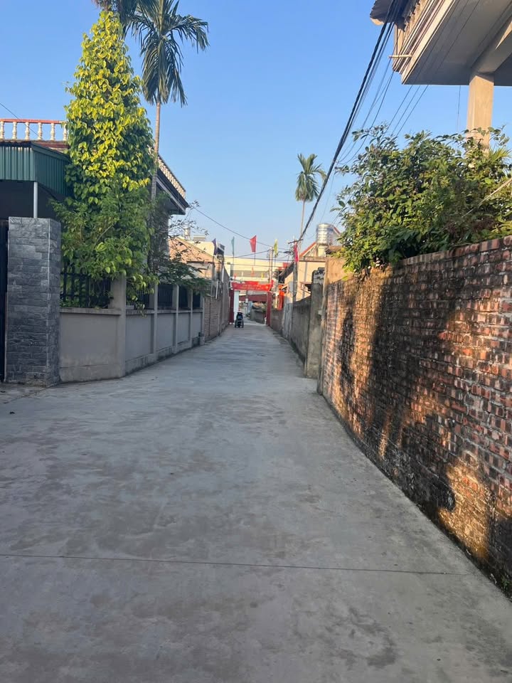 Đất Kim Anh 140m² giá 1 tỷ - Ô tô vào tận nơi, chính chủ bán gấp!