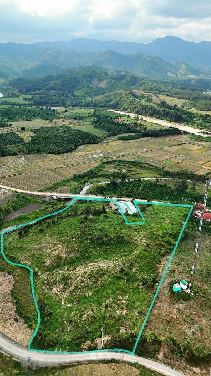 Đất nông nghiệp Đăk Rve 14,000m² giá thỏa thuận - View đẹp, 2 mặt đường bê tông!